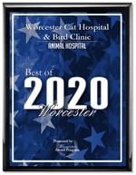 Best of Worcester 2020